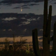 El cometa tal como apareció en Arizona el 6 de julio de 2020.